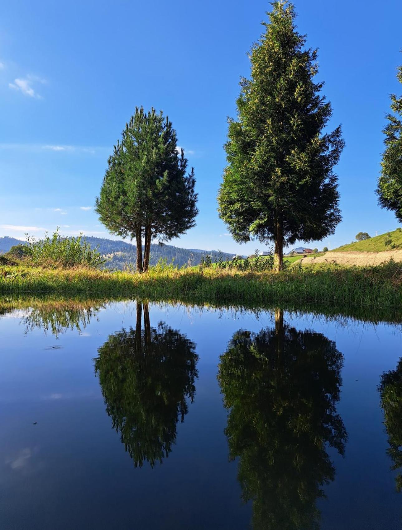 Pensiunea Poiana Izvoarelor Vatra Dornei Buitenkant foto